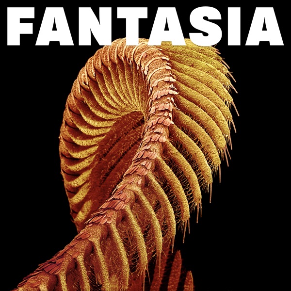 Fantasia