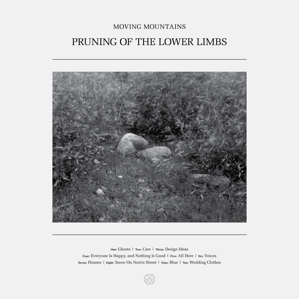 Pruning of the Lower Limbs