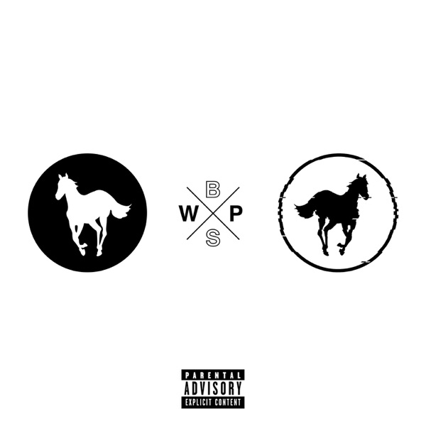 Black Stallion